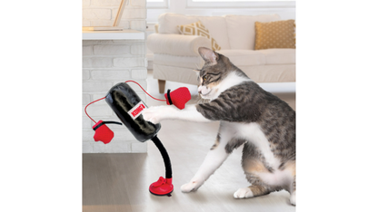 Juguete Para Tu Pequeño Felino