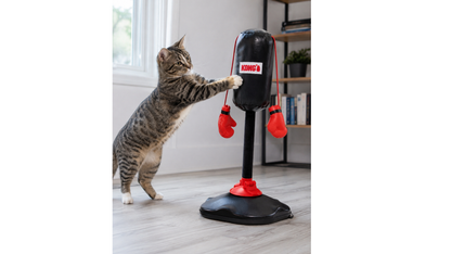 Juguete Para Tu Pequeño Felino